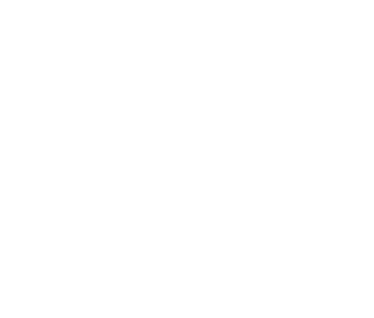 Logo MSW Waghäusel